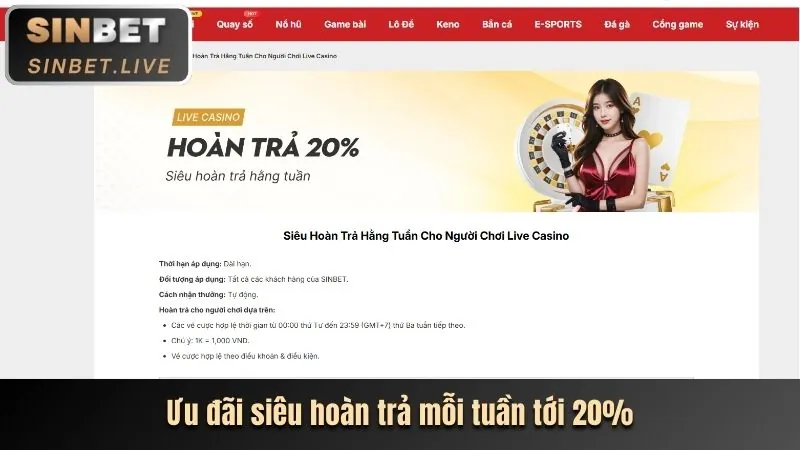 Quyền của người dùng B66 Khuyến Mãi